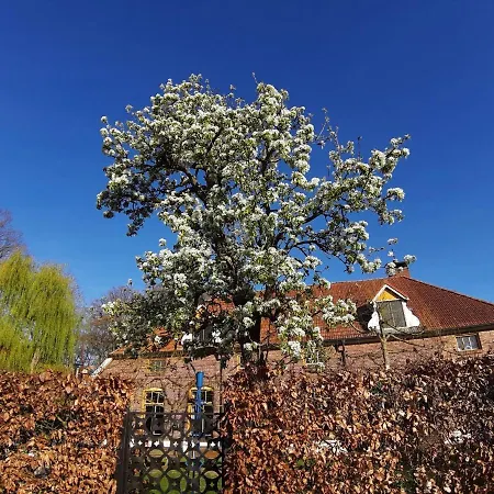 Spacious In And Wellness Area Holiday home *