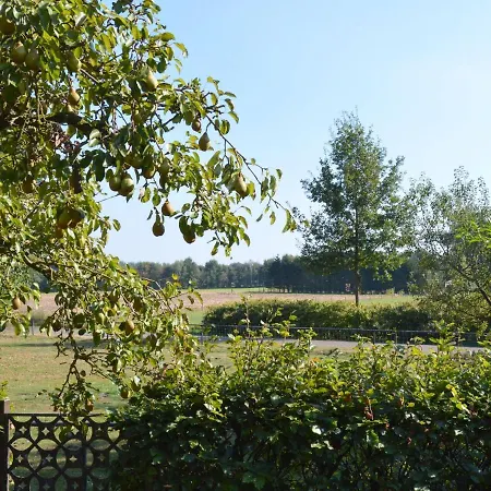 Holiday home Spacious In And Wellness Area