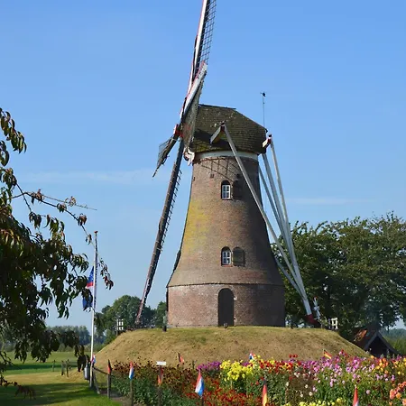 Countryside With Games Rekken