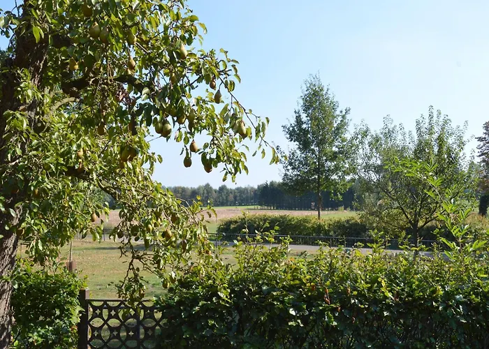 Countryside With Games *