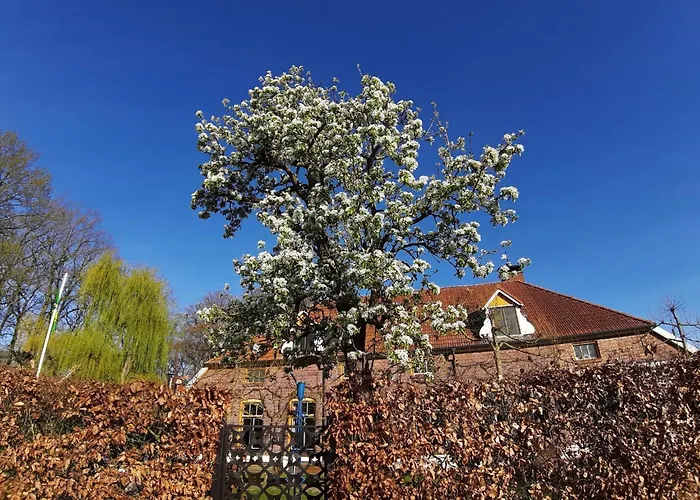 בית נופש Countryside With Games