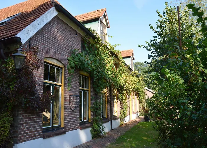 Countryside With Games *